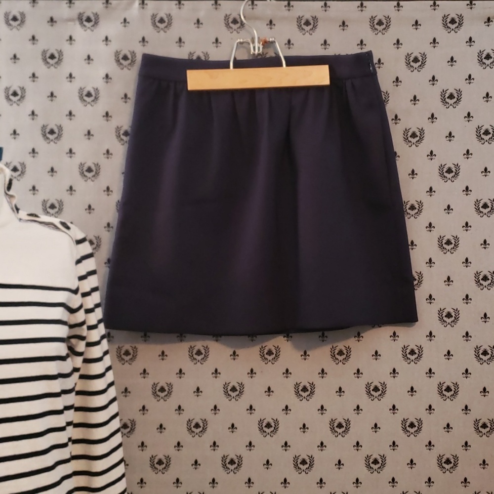 J.Crew Skirt